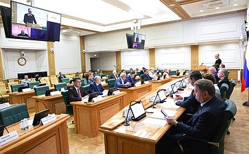 Заседание Комитета Совета Федерации по конституционному законодательству и государственному строительству