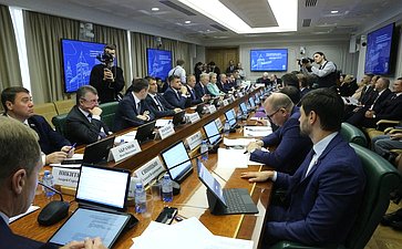 Расширенное заседание Комитета СФ по экономической политике (в рамках Дней Новгородской области)