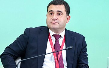Сессия «Новые регионы России и Дальний Восток: вектор стратегического партнерства и перспективные точки роста экономики». X Восточный экономический форум