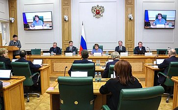 Расширенное заседание Комитета Совета Федерации по конституционному законодательству и государственному строительству «Инициативы Амурской области о дополнительных мерах по противодействию нелегальной миграции и ускорению цифровой трансформации»