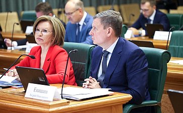 Заседание Комитета Совета Федерации по бюджету и финансовым рынкам