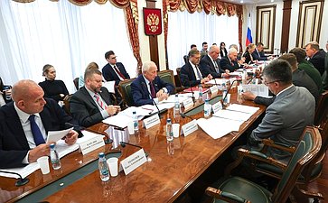 Заседание Комитета Совета Федерации по международным делам