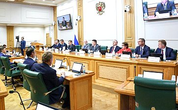 Заседание Комитета Совета Федерации по конституционному законодательству и государственному строительству