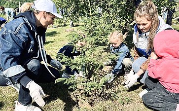 Татьяна Сахарова приняла участие в высадке деревьев в первом «зеленом мемориале» в честь павших бойцов в СВО