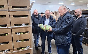 Алексей Кондратенко принял участие в открытии регионального агроагрегатора «Фруктовый сад»