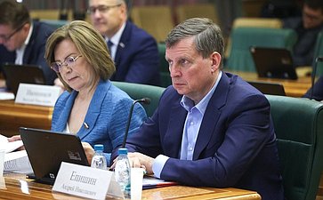 Заседание Комитета Совета Федерации по бюджету и финансовым рынкам