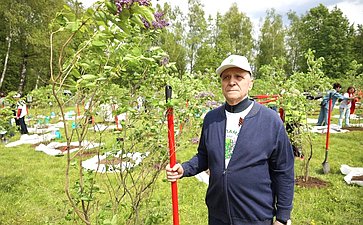 В Год защитника Отечества и 80-летия Победы в Великой Отечественной войне 1941–1945 годов сенаторы РФ и сотрудники Аппарата СФ провели акцию «Сад Памяти» — высадили 250 кустов сирени в музее-заповеднике «Горки Ленинские»