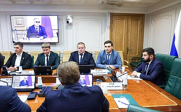 Заседание Палаты молодых законодателей при Совете Федерации