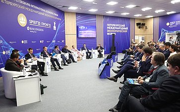 XXVIII Петербургский международный экономический форум (ПМЭФ’25). «Инвестиции в электроэнергетике на горизонте до 2050 года»