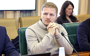 Круглый стол Комитета Совета Федерации по экономической политике «Государственная поддержка обеспечения безопасности критической инфраструктуры стратегических предприятий Российской Федерации»