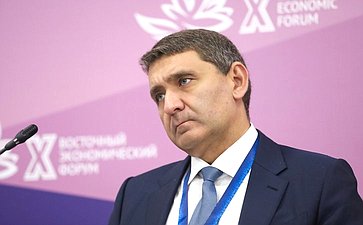 Сессия «Электроэнергия для развития Дальнего Востока». X Восточный экономический форум
