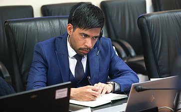 Встреча группы по сотрудничеству Совета Федерации с парламентами стран Латинской Америки и группы дружбы с Россией Палаты сенаторов Национального конгресса Республики Парагвай