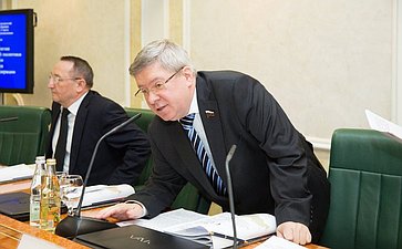 Заседание Президиума Совета законодателей РФ и Консультативного совета по межнациональным отношениям -6 Александр Торшин