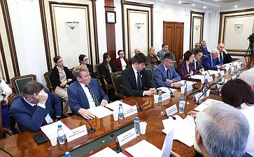 Заседание Комитета Совета Федерации по международным делам