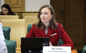 Заседание Совета Евразийского женского форума при СФ