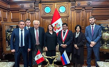 Сенаторы РФ встретились со вторым заместителем Председателя Конгресса Республики Перу Вальдемаром Серроном Рохасом