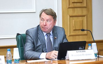 Владимир Кожин
