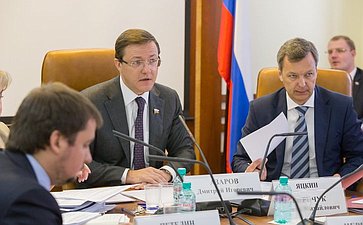 Д. Азаров Заседание Комитета СФ по федеративному устройству, региональной политике, местному самоуправлению и делам Севера