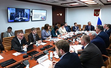 Заседание Экспертного совета по физической культуре и спорту при Комитете Совета Федерации по социальной политике