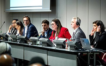 Сенаторы РФ приняли участие в заседании Постоянного комитета по вопросам демократии и прав человека Межпарламентского союза
