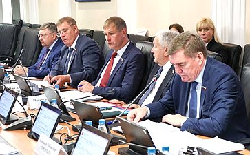 Заседание Комитета Совета Федерации по Регламенту и организации парламентской деятельности