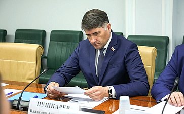 Владимир Пушкарев