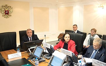 Заседание Экспертного совета по совершенствованию законодательства в сфере ТЭК