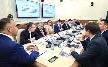 Дискуссионная площадка №4 «Молодежная политика и развитие физической культуры и спорта на сельских территориях» (в рамках встречи Председателя СФ с тружениками социальной сферы села)