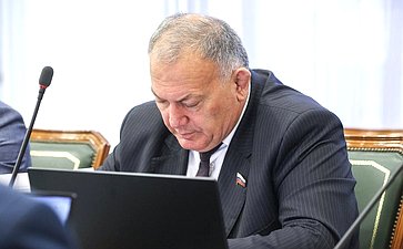 Совещание Комитета СФ по обороне и безопасности «Проблемные вопросы внедрения современных беспилотных систем, а также средств противодействия их противоправному применению»