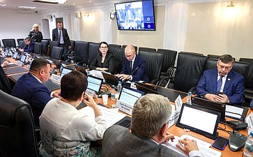 Заседание Комитета Совета Федерации по Регламенту и организации парламентской деятельности
