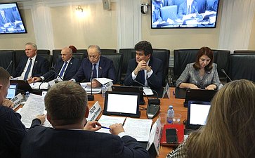 Заседание Комитета СФ по федеративному устройству, региональной политике, МСУ и делам Севера