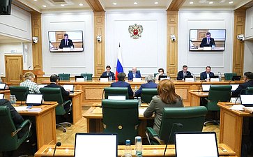 Заседание Комитета Совета Федерации по конституционному законодательству и государственному строительству