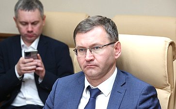 Заседание секции «Цифровые регионы: лучшие практики и стратегии развития» (фото пресс-служба Совета Федерации)