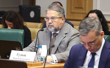 Заседание Комитета Совета Федерации по бюджету и финансовым рынкам