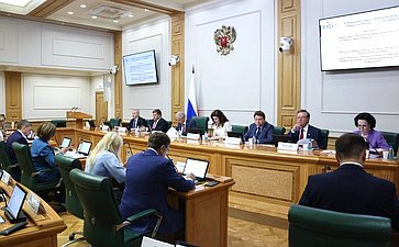 Заседание Комитета Совета Федерации по бюджету и финансовым рынкам