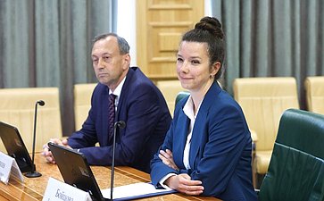 Заседание Комитета Совета Федерации по бюджету и финансовым рынкам