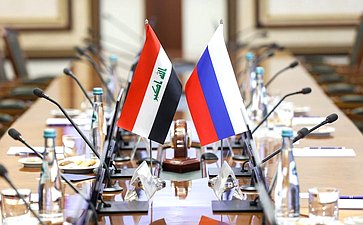 Григорий Карасин принял Чрезвычайного и Полномочного Посла Республики Ирак в Российской Федерации Абдул-Карима Хашима Мустафу