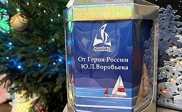 Заместитель Председателя СФ Юрий Воробьев исполнил новогодние мечты детей из разных регионов нашей страны