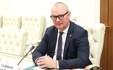 Встреча первого заместителя председателя Комитета СФ по социальной политике Александра Варфоломеева с депутатом Национального Собрания Республики Армения Алексеем Сандыковым