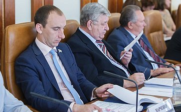 Заседание Комитета по федеративному устройству, региональной политике, местному самоуправлению и делам Севера -5 Марченко