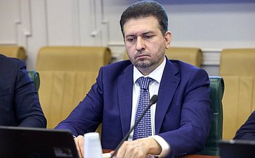 Круглый стол Комитета Совета Федерации по экономической политике «О перспективах обновления инфраструктуры и подвижного состава городского электрического транспорта в субъектах Российской Федерации»