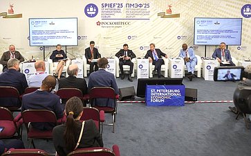 XXVIII Петербургский международный экономический форум (ПМЭФ’25). «Формирование справедливого и устойчивого мироустройства через укрепление общих ценностей стран мирового большинства»