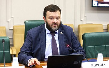 Дмитрий Ворона