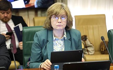 Заседание Комитета Совета Федерации по экономической политике