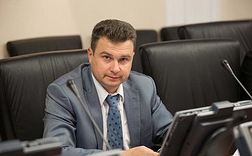 Л. Бокова провела тзаседание Временной комиссии 5