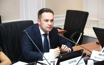 Заседание секции «Обеспечения технологического суверенитета и информационной безопасности РФ» Совета по развитию цифровой экономики при СФ