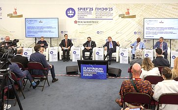 XXVIII Петербургский международный экономический форум (ПМЭФ’25). «Формирование справедливого и устойчивого мироустройства через укрепление общих ценностей стран мирового большинства»