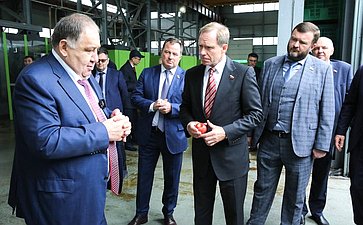 Члены Комитета СФ посетили сельскохозяйственные предприятия –тепличный комплекс и компанию, специализирующуюся на выращивании яблок
