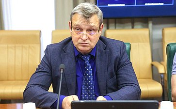 Совещание Комитета СФ по экономической политике «Стимулирование внутреннего спроса на российские товары и поддержки отечественных производителей»