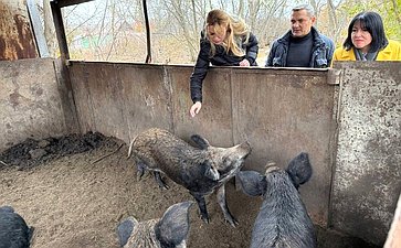 Дарья Лантратова в рамках региональной поездки посетила хозяйство Владимира Прудникова в Белокуракинском районе